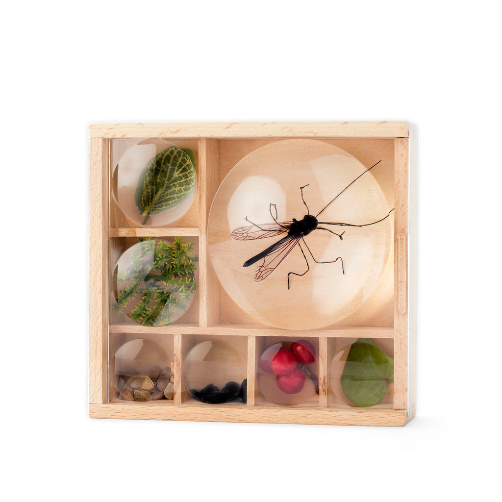 A wooden box fillled with toy insects