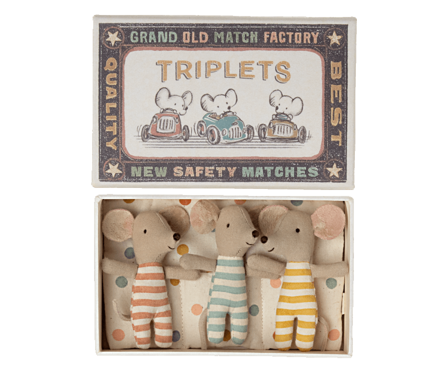 Triplets, Baby mice in matchbox ( IN STOCK MARCH 2023)