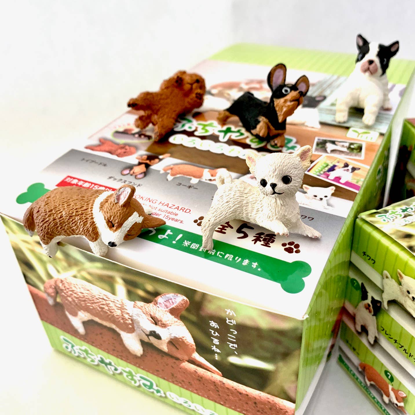 PLAYFUL HANGING DOGS BLIND BOX | Tselaine