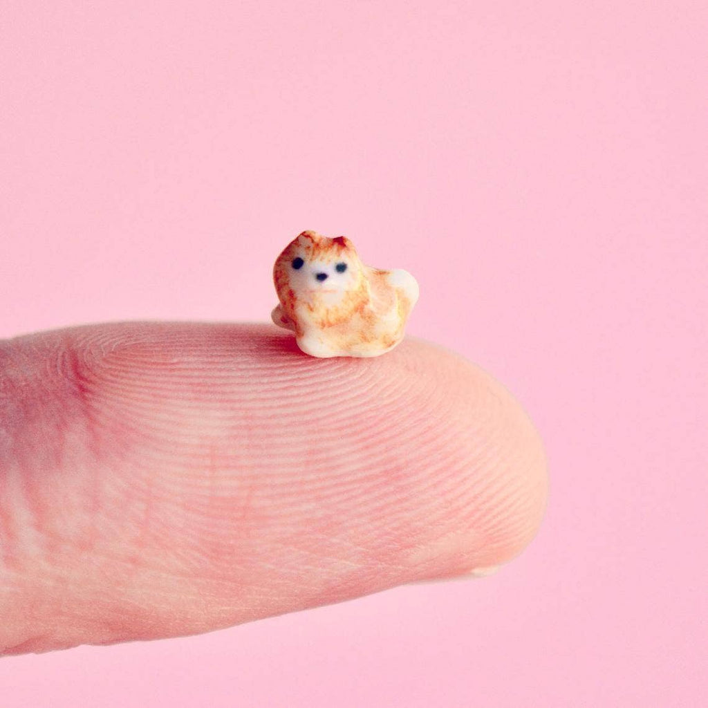 Worlds Tiniest Pomeranian Figurine