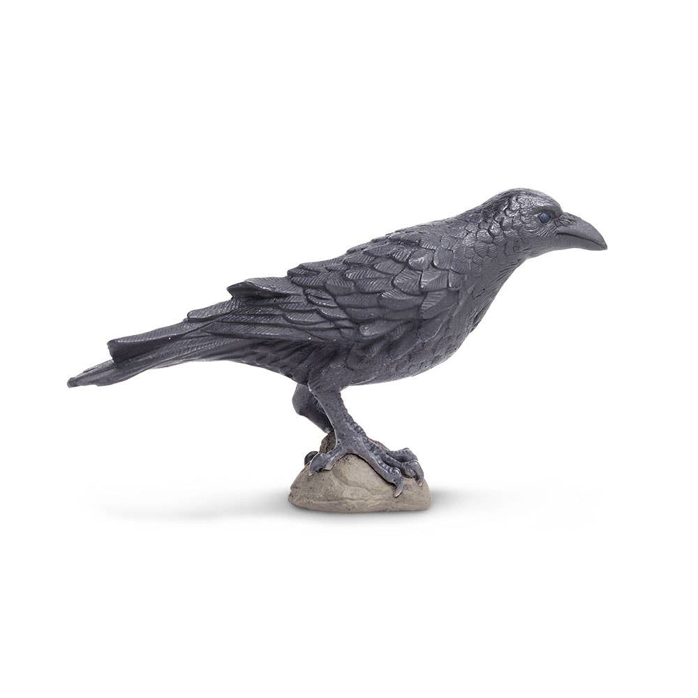 Raven - 150829
