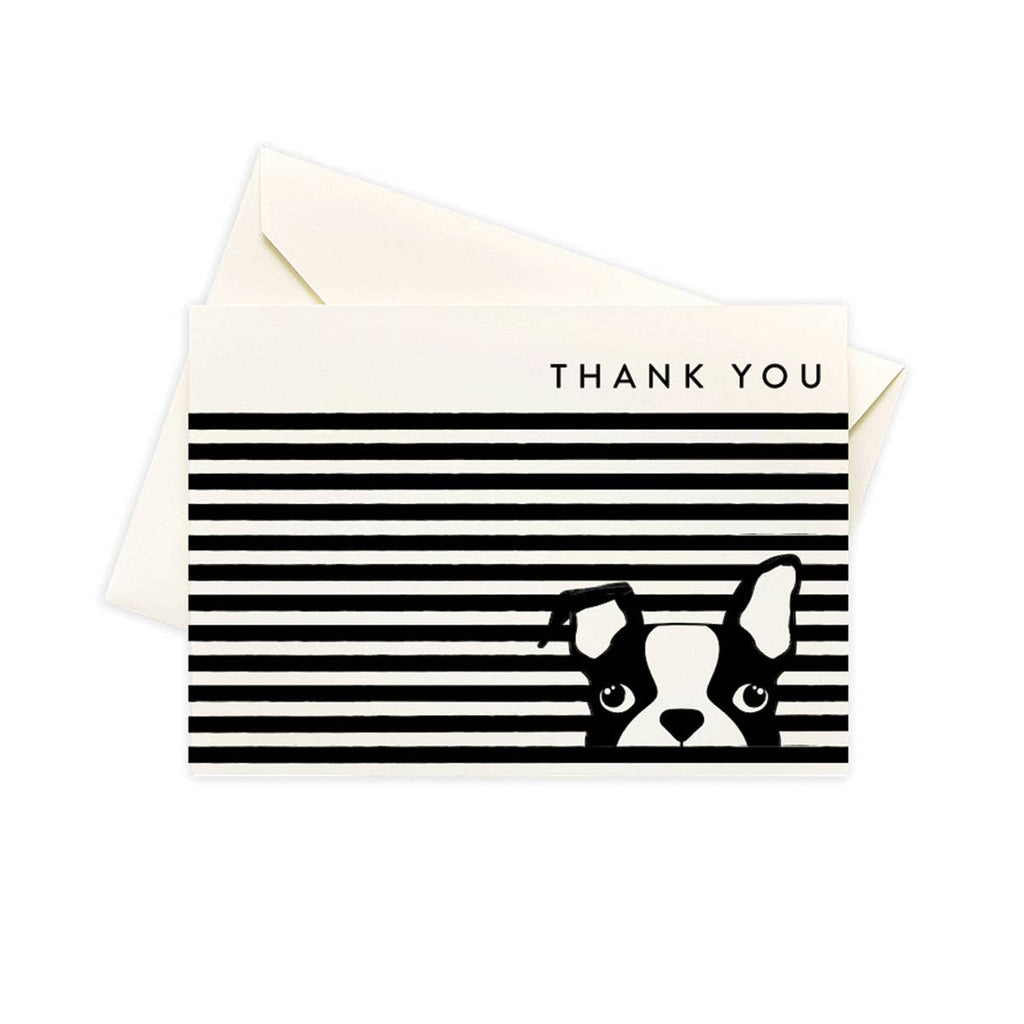 Dog Stripe Boxed Notes